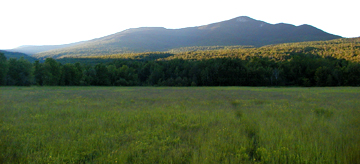 view of White Mountains