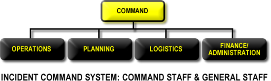 incident command organizational tree