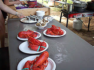 lobsters ready for eating