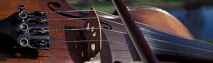 closeup of violin bridge and bow
