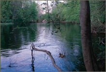 contoocook river
