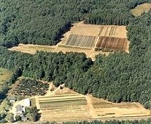 aerial image of state forest nursery