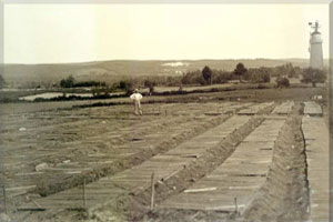 early photo of pembroke nursery