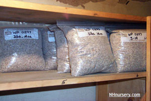 bagged seeds in cold storage