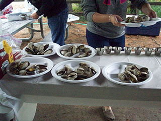 Steamed Clams ready to be eaten