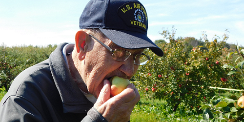 a man munches on an apple in an orchard